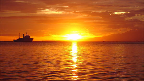 『白球と特攻』